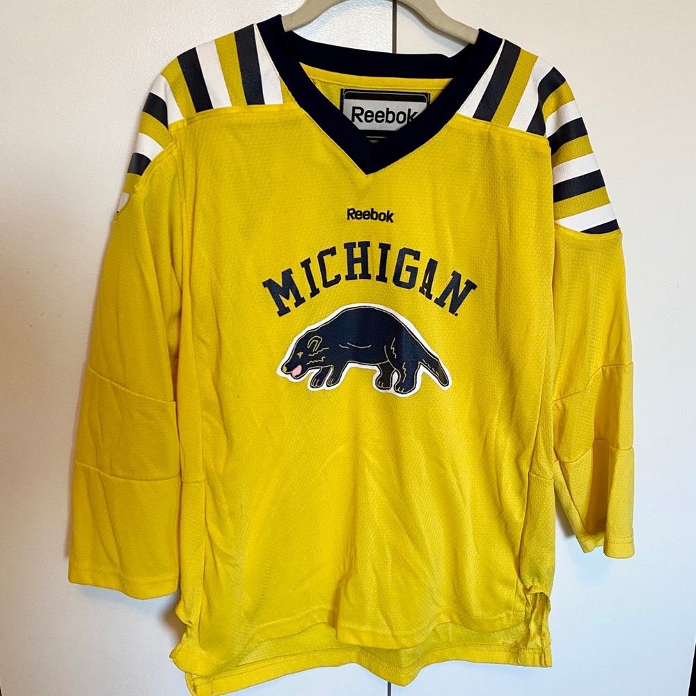 Youth Michigan Hockey Jersey